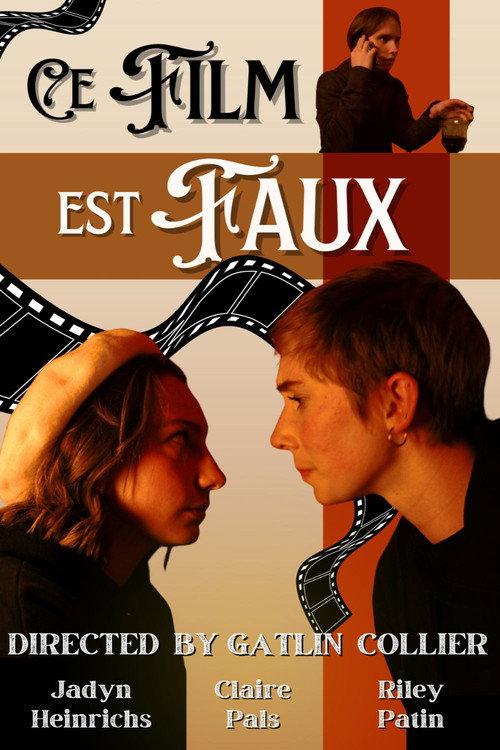 Ce Film Est Faux 2025 official movie poster
