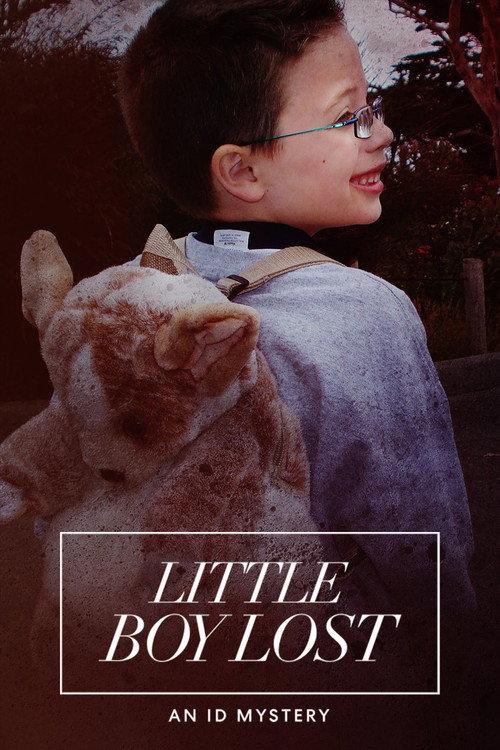 Little Boy Lost: An ID Mystery 2020 official movie poster