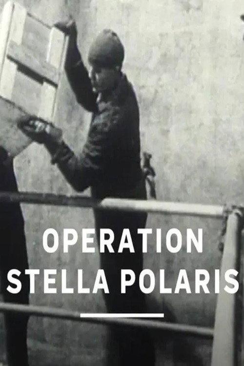 Operation Stella Polaris 1995 official movie poster