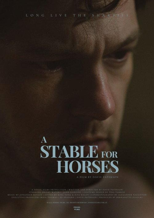 A Stable for Horses 2025 official movie poster
