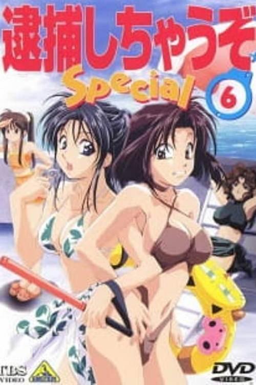 You're Under Arrest! Diverting Traffic at the Beach 1997 official movie poster