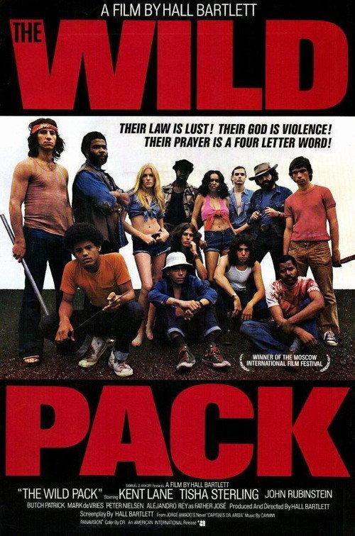 The Sandpit Generals 1972 official movie poster