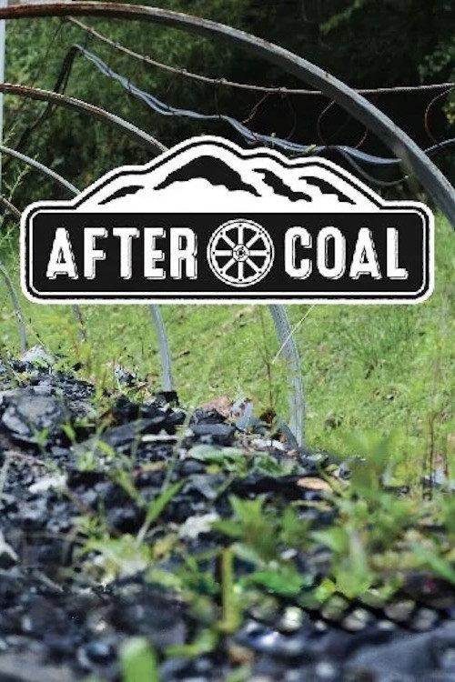 After Coal: Welsh and Appalachian Mining Communities 2016 official movie poster