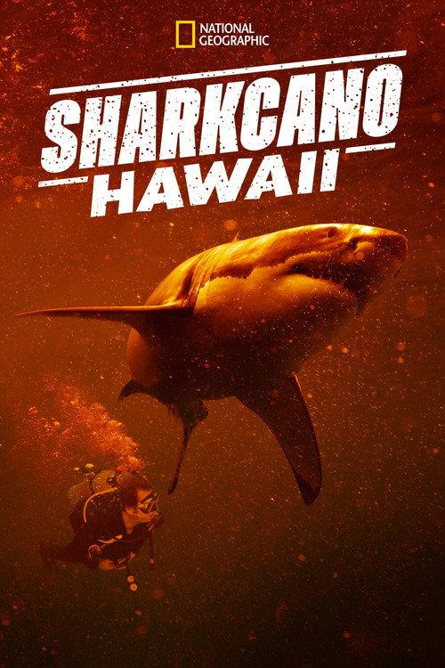 Sharkcano: Hawaii 2023 official movie poster
