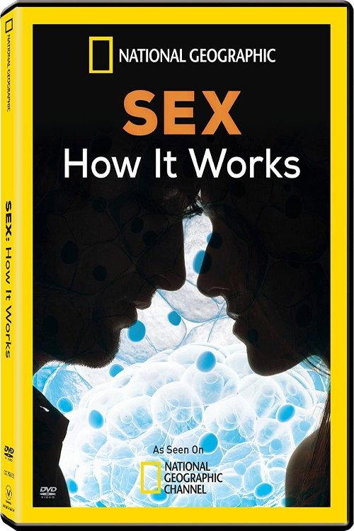 Sex: How It Works 2013 official movie poster