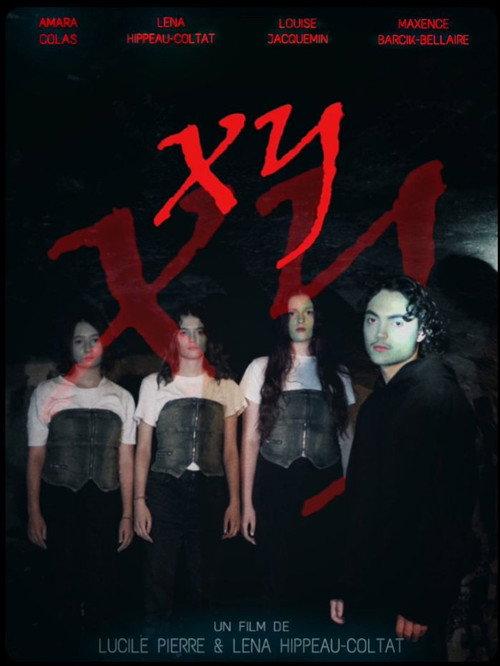 XY  official movie poster