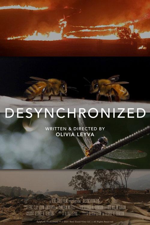 Desynchronized 2021 official movie poster