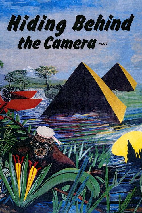 Hiding Behind the Camera, Part 2 2004 official movie poster