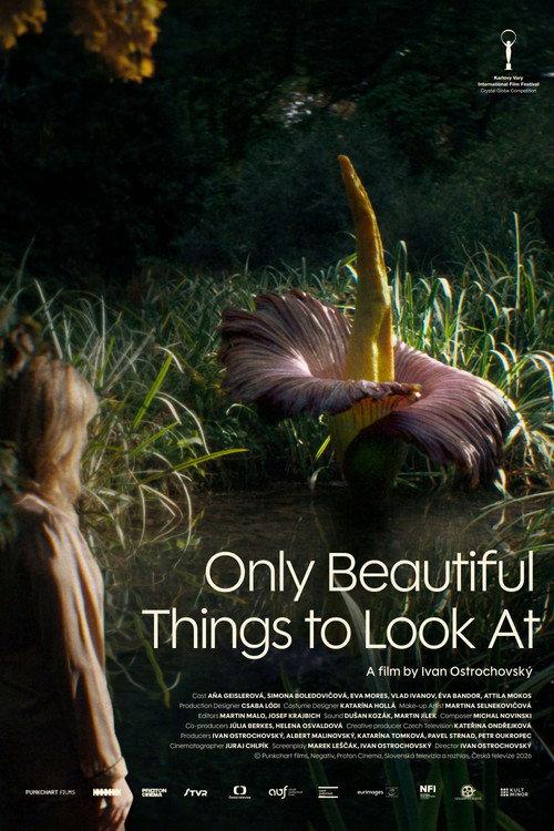 Only Beautiful Things to Look At 2026 official movie poster