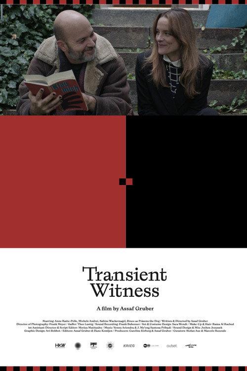Transient Witness 2026 official movie poster