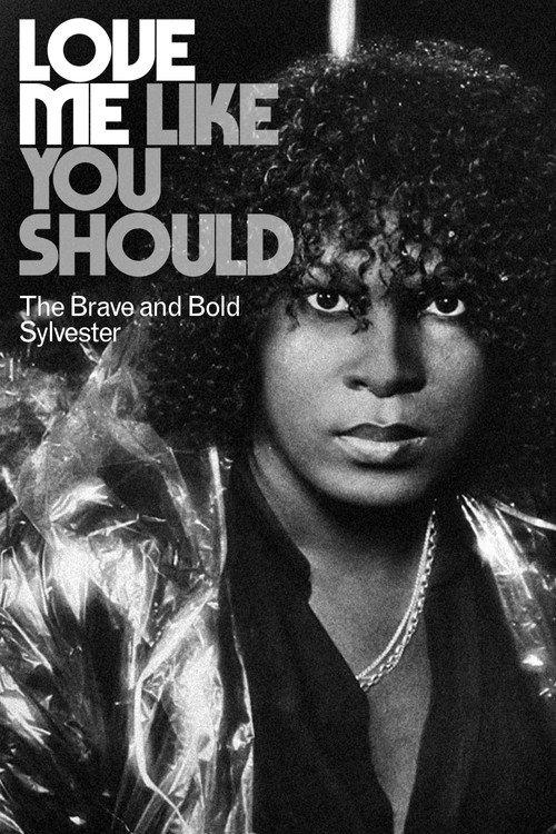 Love Me Like You Should: The Brave and Bold Sylvester 2020 official movie poster