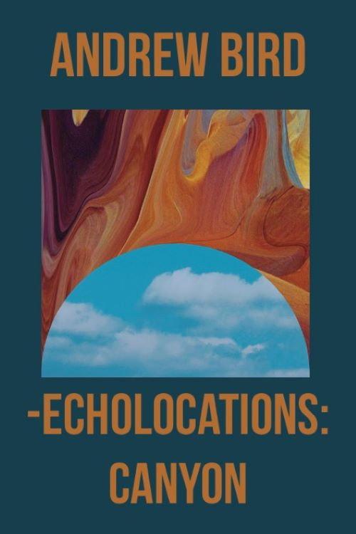 Echolocations: Canyon 2015 official movie poster