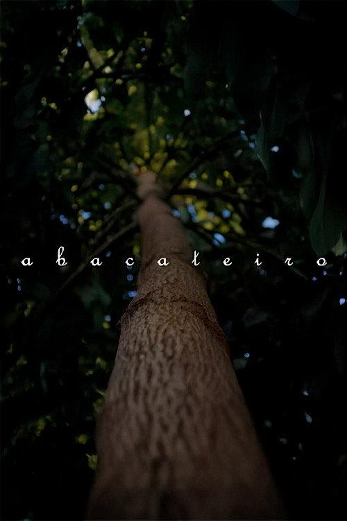 Abacateiro 2021 official movie poster
