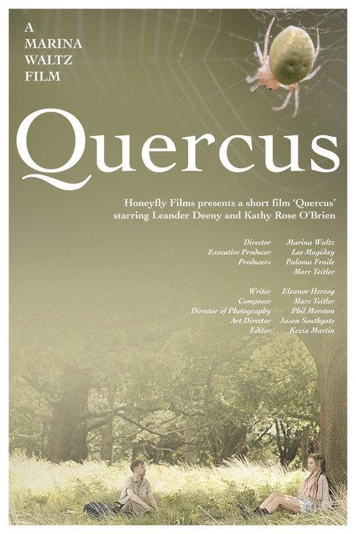 Quercus 2017 official movie poster