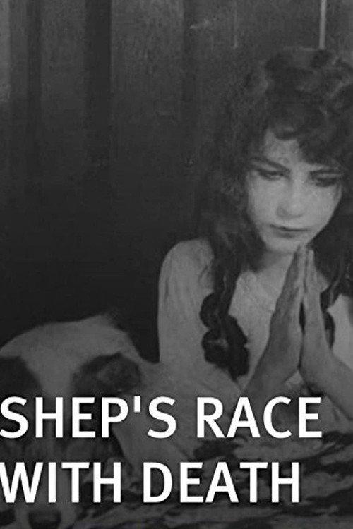 Shep's Race with Death 1914 official movie poster