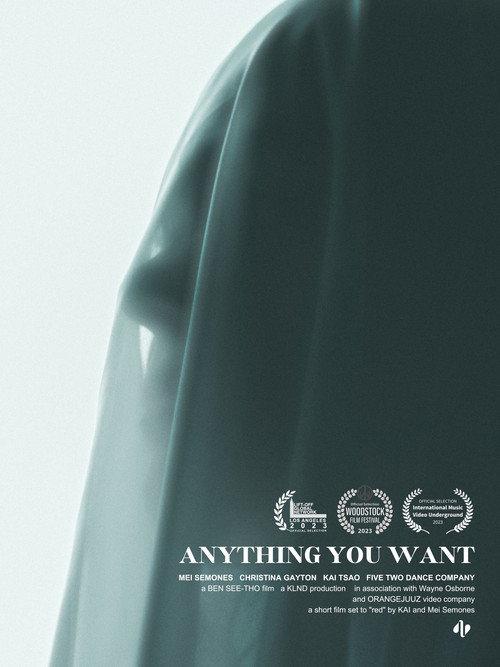Anything You Want 2023 official movie poster