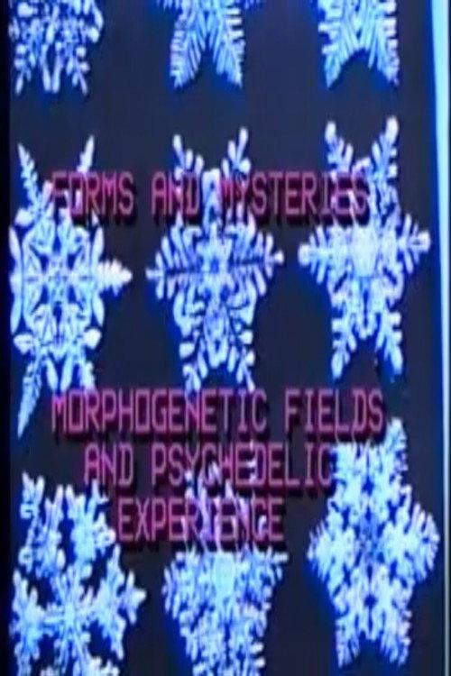 Forms and Mysteries 1988 official movie poster