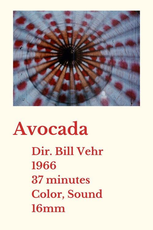 Avocada 1966 official movie poster