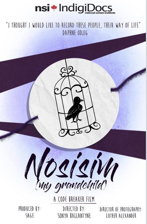 Nosisim 2017 official movie poster