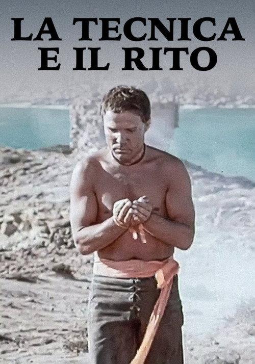 The Technique and the Rite 1972 official movie poster