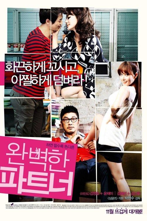 My Secret Partner 2011 official movie poster