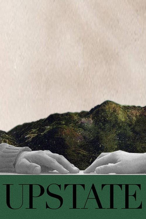 Upstate 2010 official movie poster