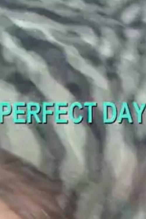 Perfect Day 2007 official movie poster