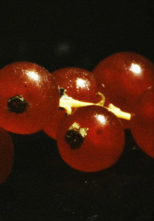 and so it came about (A Tale of Consequential Dormancy) 2023 official movie poster