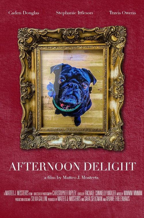 Afternoon Delight. 2017 official movie poster