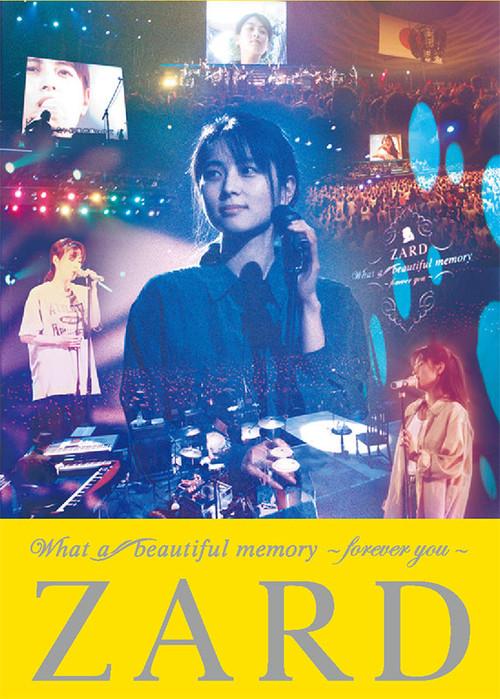 What a beautiful memory ~forever you~ 2011 official movie poster