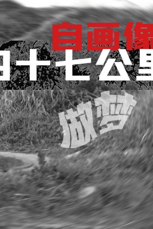 Self-Portrait: Dreaming at 47 KM 2013 official movie poster