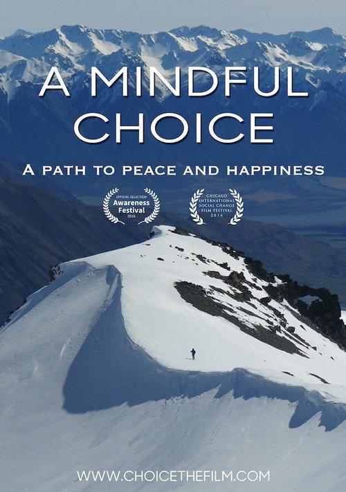 A Mindful Choice 2016 official movie poster