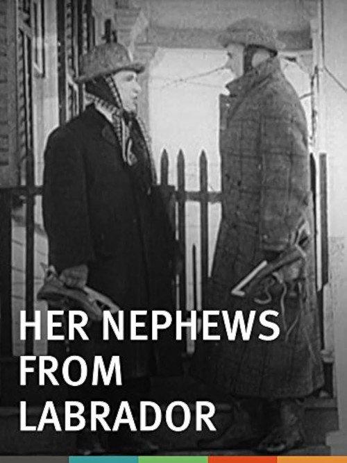 Her Nephews from Labrador 1913 official movie poster