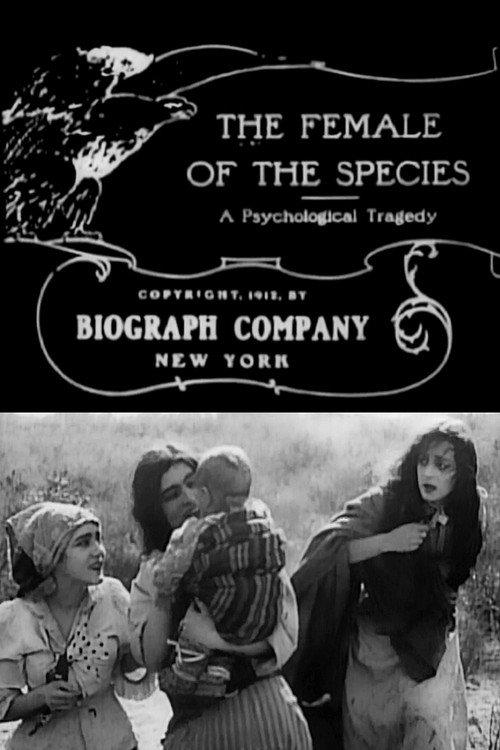 The Female of the Species 1912 official movie poster