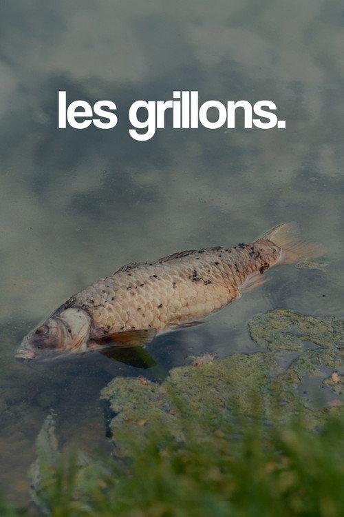 les grillons. 2025 official movie poster