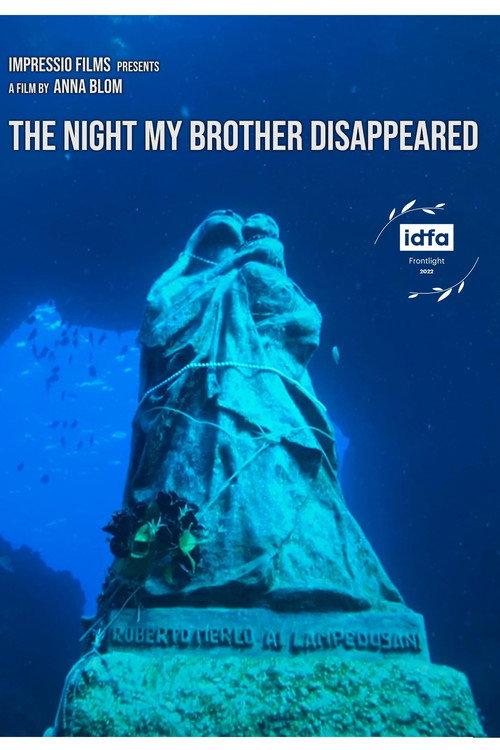 The Night My Brother Disappeared 2022 official movie poster