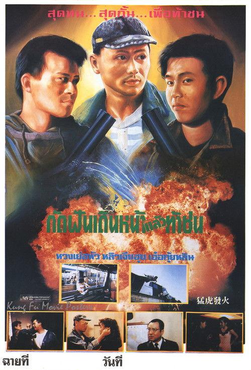 Fury of a Tiger 1989 official movie poster