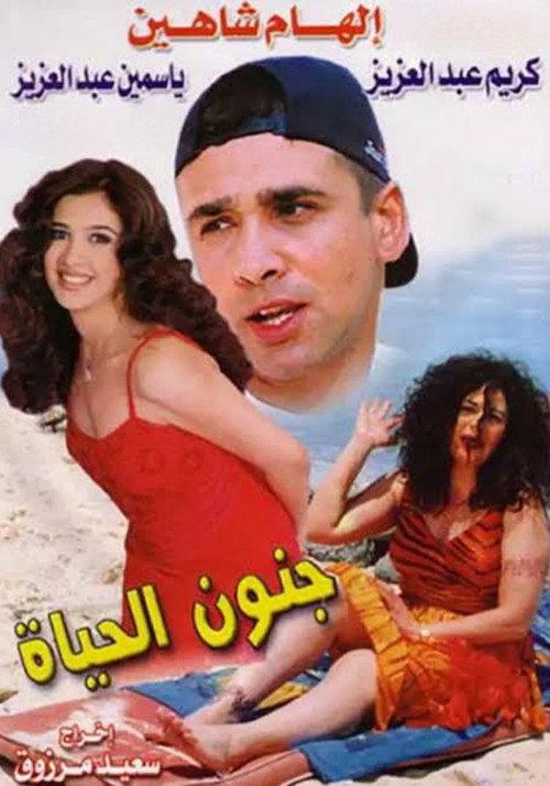 Madness of Life 2000 official movie poster