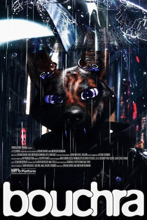 Bouchra 2026 official movie poster