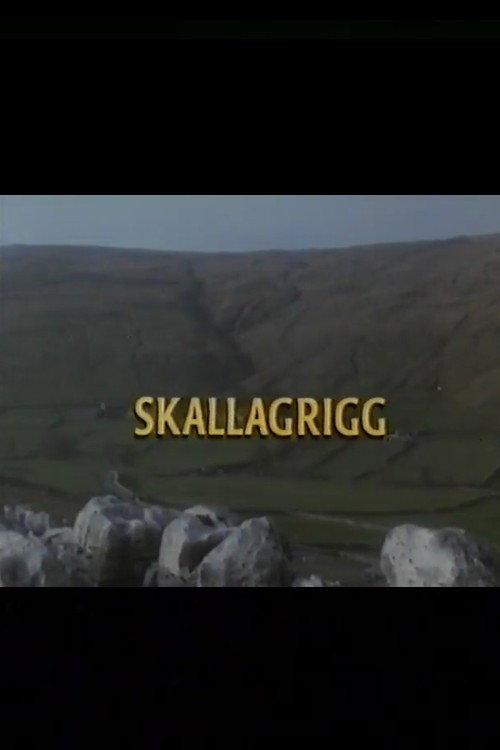 Skallagrigg 1994 official movie poster