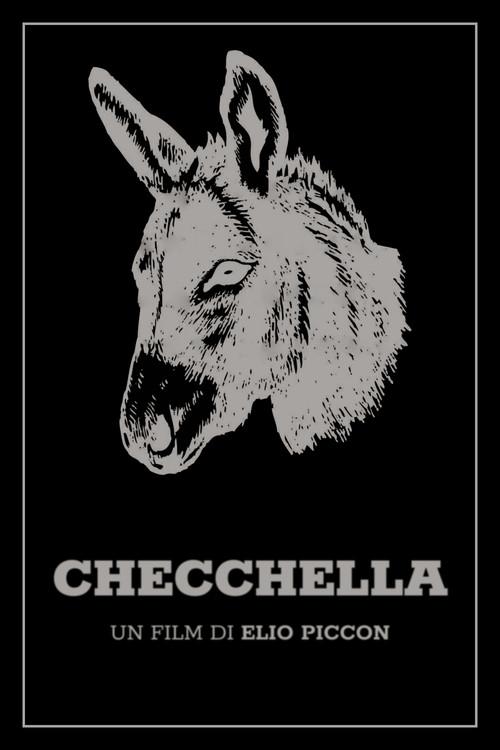 Checchella 1969 official movie poster