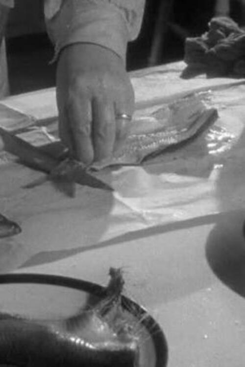 Herrings 1940 official movie poster