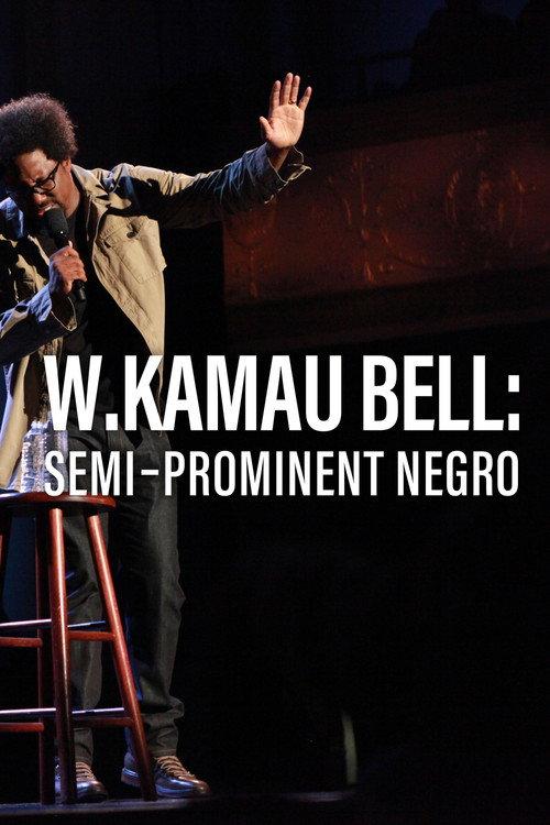 W. Kamau Bell: Semi-Prominent Negro 2016 official movie poster