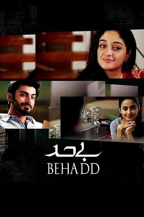 Behadd 2013 official movie poster