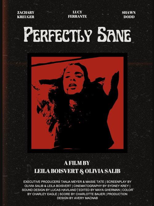 Perfectly Sane official movie poster