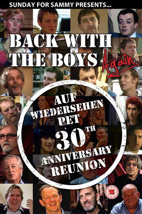 Back with the Boys Again 2013 official movie poster