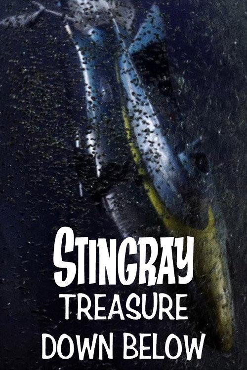 Stingray: Treasure Down Below 1965 official movie poster