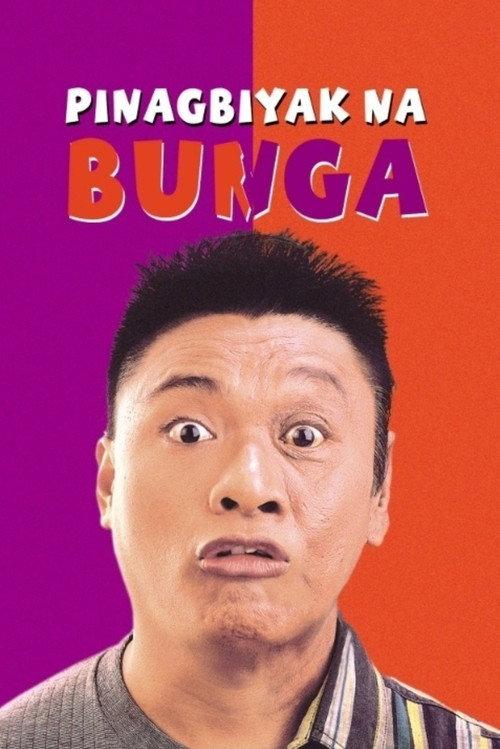 Pinagbiyak Na Bunga: Lookalayk 1994 official movie poster