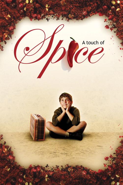 A Touch of Spice 2003 official movie poster