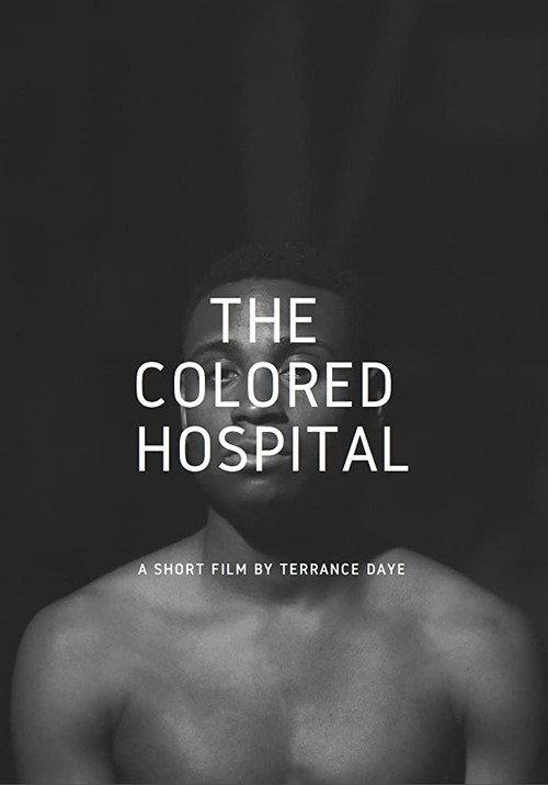 The Colored Hospital: A Visual Poem 2017 official movie poster